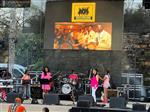 Jazz in Pink - San Antonio Jazz Fest
