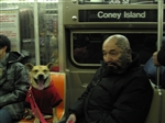 Batso and Inka on New York Subway