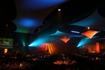 Special Events Decor